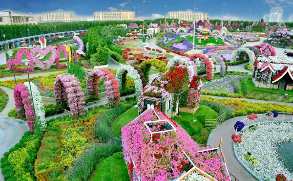 حديقة الزهور الرياض