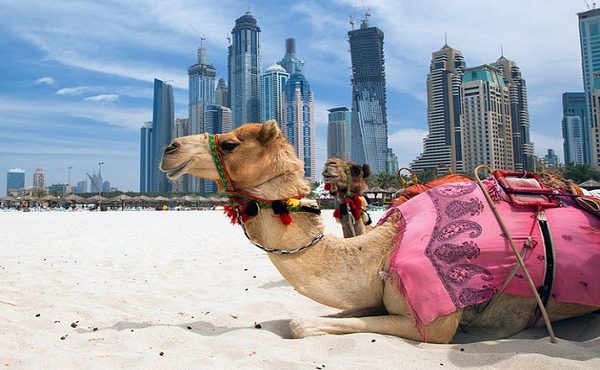 صور معالم السياحة في الامارات